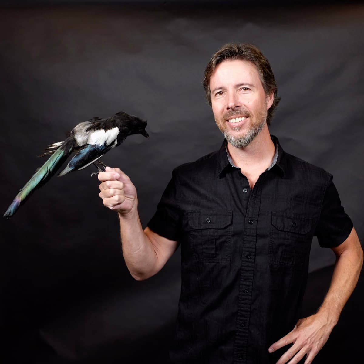 Dave Metcalf in a black shirt holding a magpie perched on his hand against a dark studio backdrop